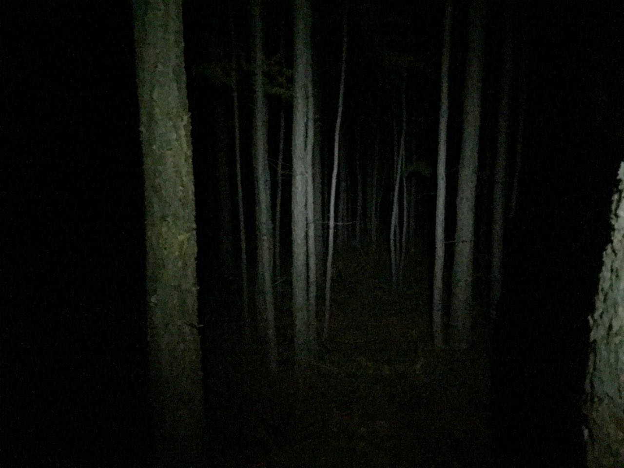 quite creepy to go there at night, anyone remember Blairwitch Project?