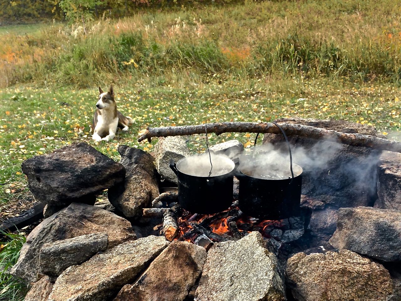cooking lunch (the dog kept with us hoping to get his share)