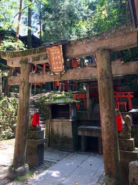 ... and passing thousands of small shrines on the way...