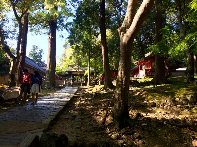 walking up to Kaisuga Taisha shrine