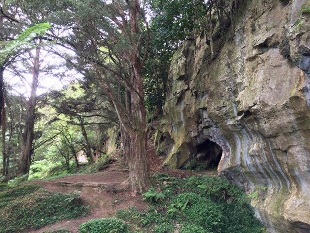 hiking the Waipu Caves track