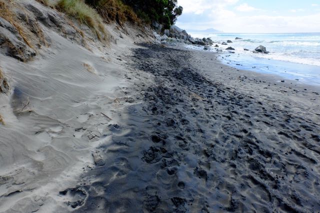 Mangawhei Beach with black sand