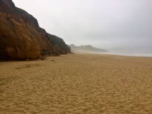 foggy beach