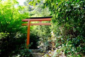 gate to Miyama shrine near the mountain top